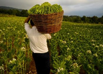 Dihantam Pandemi, Keberlangsungan Industri Hasil Tembakau Butuh Dukungan Pemerintah