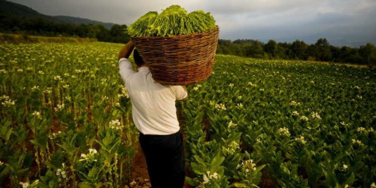 Dihantam Pandemi, Keberlangsungan Industri Hasil Tembakau Butuh Dukungan Pemerintah