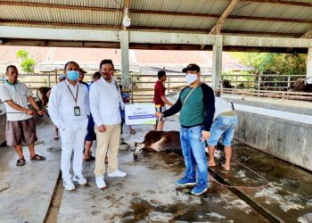 Peringati Idul Adha, Keluarga Besar JamSyar Salurkan 23 Hewan Qurban 