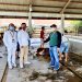 Peringati Idul Adha, Keluarga Besar JamSyar Salurkan 23 Hewan Qurban