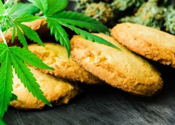 RS Chao Phraya Abhaibhubejhr : Gunakan Ganja sebagai Bahan Masakan