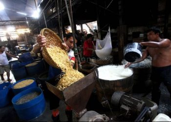 Kementan Siapkan Kedelai Lokal sebagai Antisipasi Lonjakan Harga