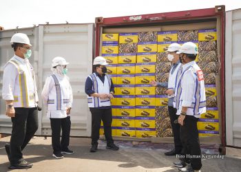 Lanjutkan Tren Positif, Neraca Perdagangan Februari Kembali Surplus