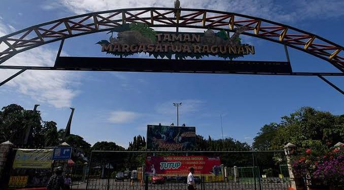 Taman Margasatwa Ragunan (Kembali) Dibuka