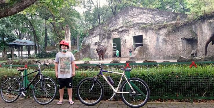 Sensasi Bersepeda Sambil Melihat Binatang di Taman Margasatwa Ragunan