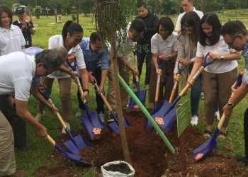 Sejak 2019, DKI Telah Tanam Pohon Tambahan Sebanyak 70.880