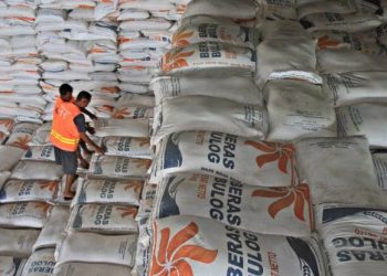 Stok Beras Bulog Capai 1,2 Juta Ton, Indonesia Tak Perlu Impor Beras