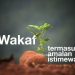 Empat Langkah Penting Transformasi Wakaf Produktif