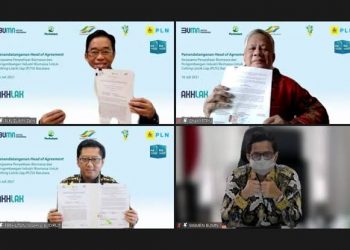 Sinergi 3 BUMN Amankan Pasokan Biomassa