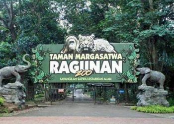 Hari Pertama Buka setelah Tutup Sementara, Pengunjung Ragunan Capai 2 Ribu Orang