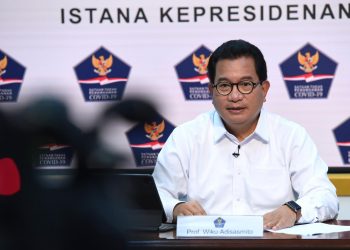 Terbukti Diakui Dunia, Indonesia Mampu Tangani Pandemi Dengan Baik