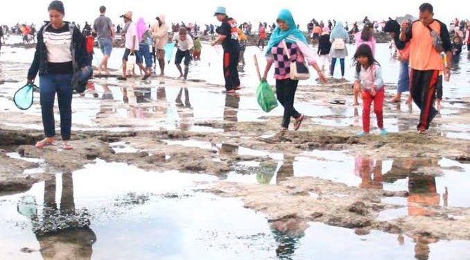 Jelang MotoGP Lombok, Ada Tradisi Bau Nyale Hingga Pepes Nyale