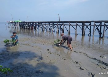 Askrindo Terus Meningkatkan Lingkungan dan Meraih Indonesia Green Award 2022
