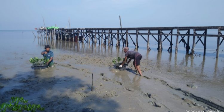 Askrindo Terus Meningkatkan Lingkungan dan Meraih Indonesia Green Award 2022