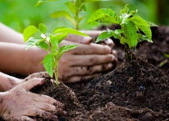 Menperin Pelaku Industri Harus Mencari Produk berbasis Hijau