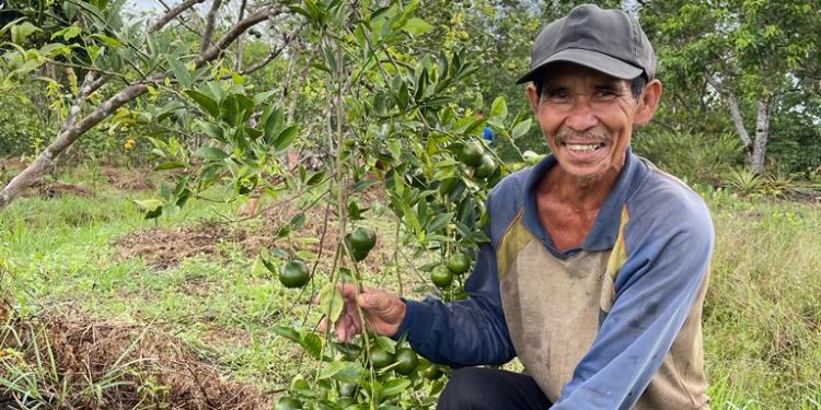 800 Petani di Kateng Ikuti Program Bertani TBTK