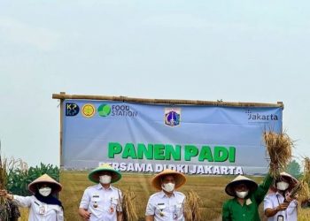 8 Ton Gabah Produksi Petani Jakarta Utara Diserap Food Station