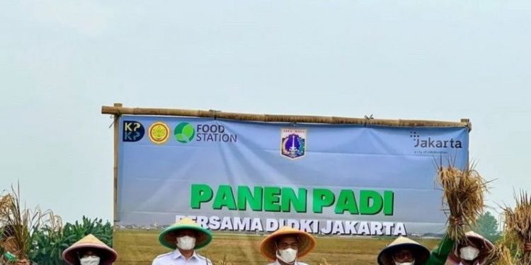 8 Ton Gabah Produksi Petani Jakarta Utara Diserap Food Station