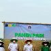 8 Ton Gabah Produksi Petani Jakarta Utara Diserap Food Station