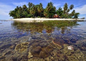 KKP Optimis Penuhi 32,5 juta Ha Kawasan Konservasi Perairan di 2030