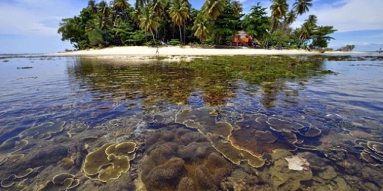 KKP Optimis Penuhi 32,5 juta Ha Kawasan Konservasi Perairan di 2030