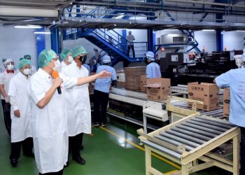Kontribusi Industri Makanan dan Minuman Tembus 37,77 Persen