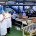 Kontribusi Industri Makanan dan Minuman Tembus 37,77 Persen