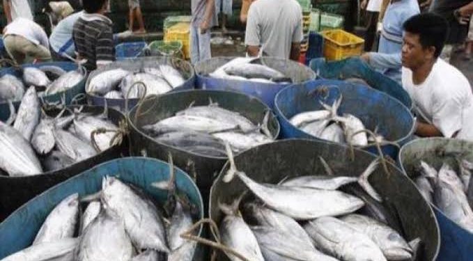 Indonesia Minta Jepang Buka Akses Ekpor Tuna Kaleng Dengan Bebas Tarif