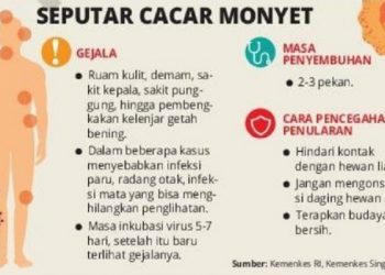 Kasus Konfirmasi Cacar Monyet Pertama Kali Dari Jakarta