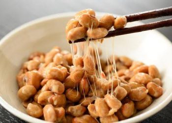 Natto, Makanan Fermentasi Khas Jepang Yang Kekinian