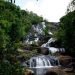 Air Terjun Temburun, Pesona Wisata Dengan Hutan Mangrove