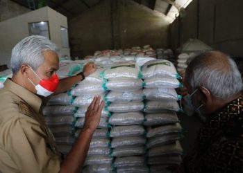 Ganjar Kenalkan Beras Srinuk Produk Pertanian Unggulan Jawa Tengah