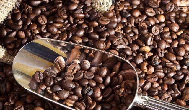 Javaeast Coffe, Kopi Jawa Timur Ekspor 200 Ton Ke Mesir