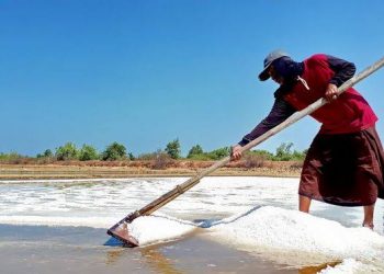 ID FOOD Angkat Perekonomian Fokus Dukung Strategi PT Garam Lokal