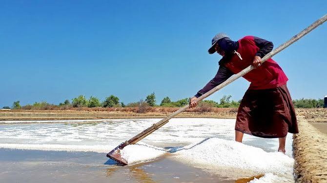 ID FOOD Angkat Perekonomian Fokus Dukung Strategi PT Garam Lokal