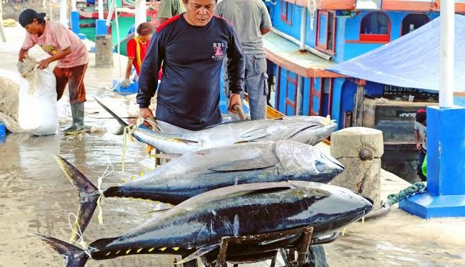 Perindo Pastikan Pasokan Ikan Cukup Jelang Libur Nataru