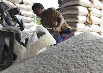 Bank Dunia : Harga Beras RI Termahal Se – ASEAN