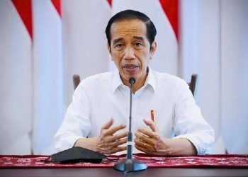 Presiden RI Terbitkan Perppu Terkait Undang-Undang Cipta Kerja