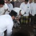 Perluas Pendidikan Agama Ponpes Tahfiz Anak Daarul Rahmah di Resmikan
