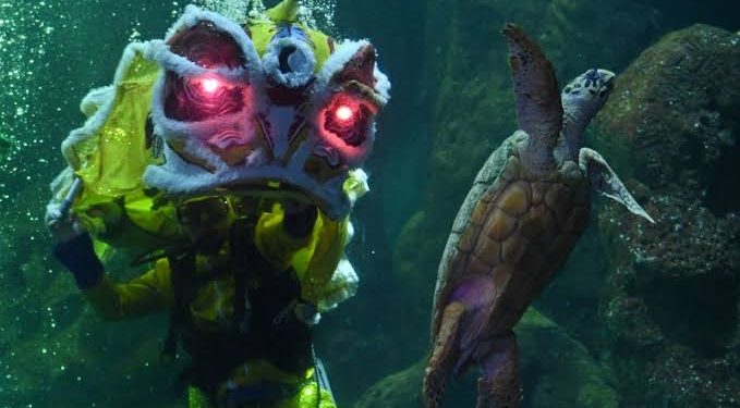 Sambut Imlek, Ancol Gelar Festival Lunar Hingga Barongsai