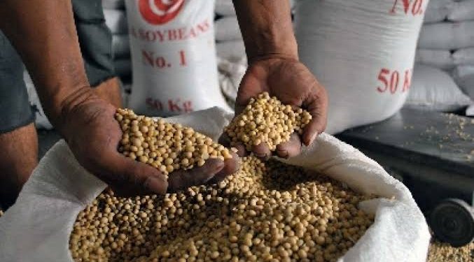 Kedelai Impor 15 Ribu Ton Akan Segera Tiba di Indonesia