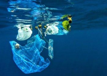 Pemerintah Targetkan 70 Persen Sampah Plastik Hilang di Indonesia Tahun 2025