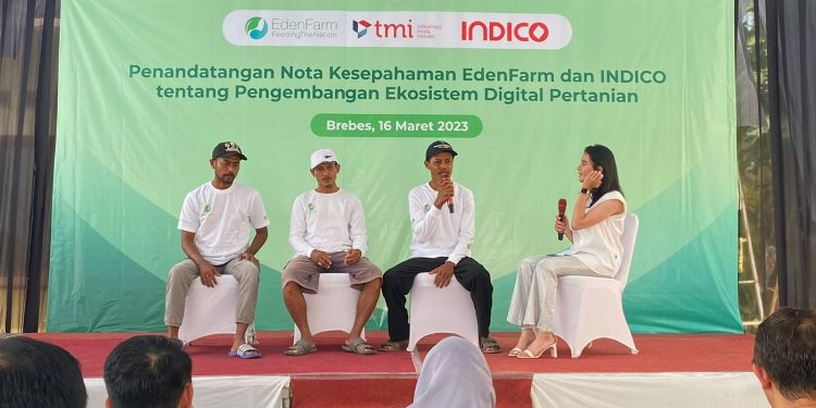 EdenFarm Gandeng INDICO Perkuat Digitalisasi Pertanian