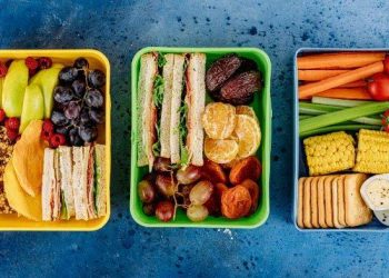 Pakar Gizi : Tips Bekal Sehat saat Mudik
