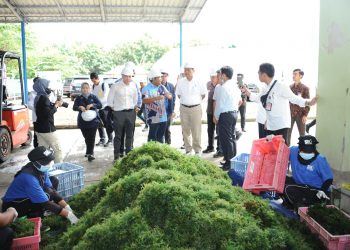 Keberhasilan Hilirisasi Emas Hijau di Bali Bisa Dicontoh di Daerah Lain