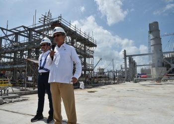 Menteri ESDM Minta Progres Proyek Smelter PT FI Capai 4% Per Bulan