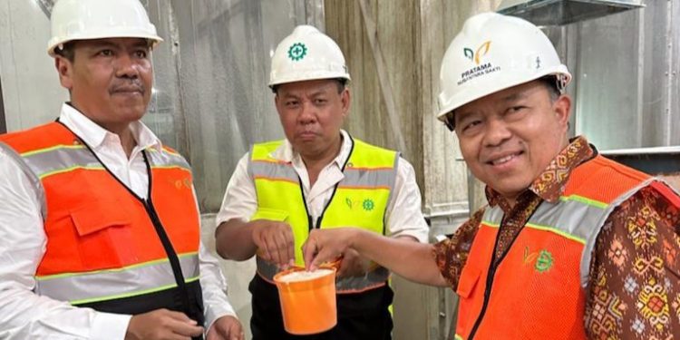 Indonesia Berhasil Membangun Industri Gula Terintegrasi di Lahan Rawa