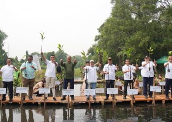 Peringati Hari Mangrove Sedunia, Apical Tanam 3.000 Pohon Mangrove di Jakarta