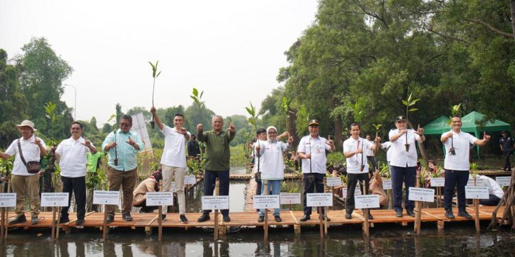 Peringati Hari Mangrove Sedunia, Apical Tanam 3.000 Pohon Mangrove di Jakarta