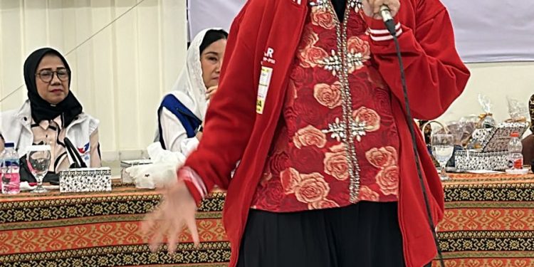 Irlisa Rachmadiana Pengurus KOWANI bidang Luar Negeri, CALEG RI – Banten III Nomor Urut 5